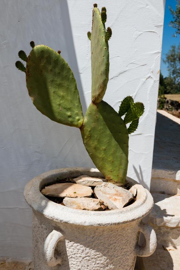 Il Trullo Della Rondinina