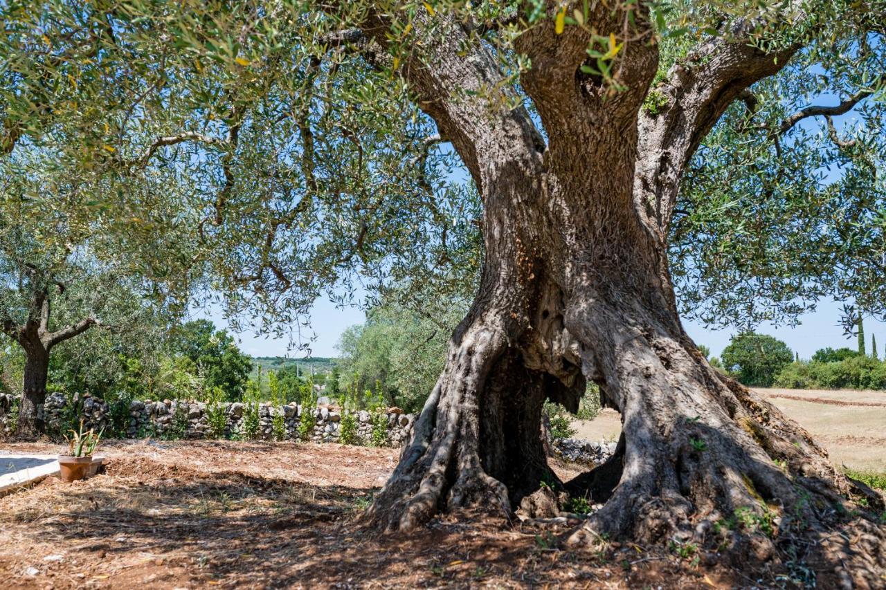 Holiday home Il Trullo Della Rondinina Alberobello