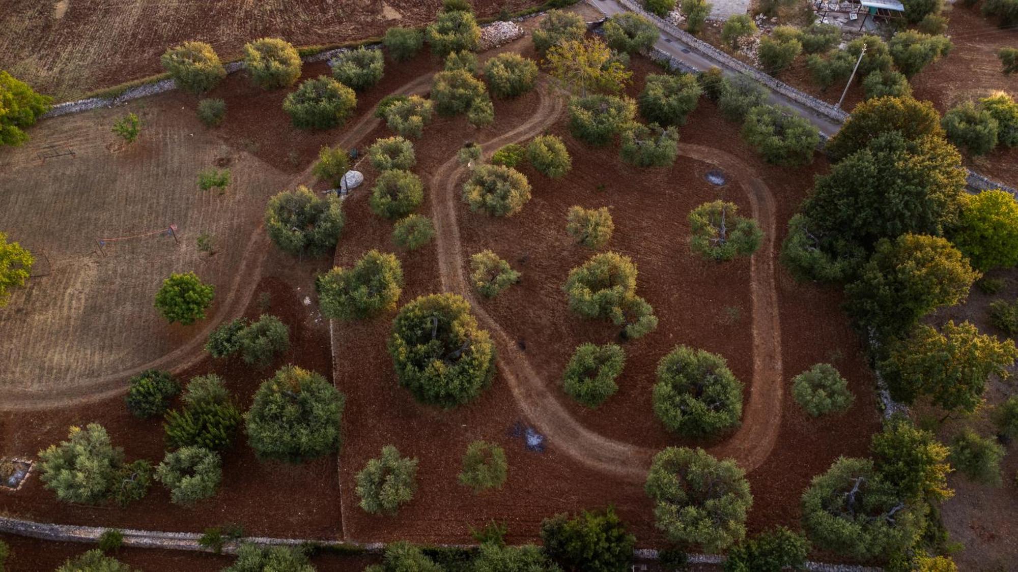 Il Trullo Della Rondinina *
