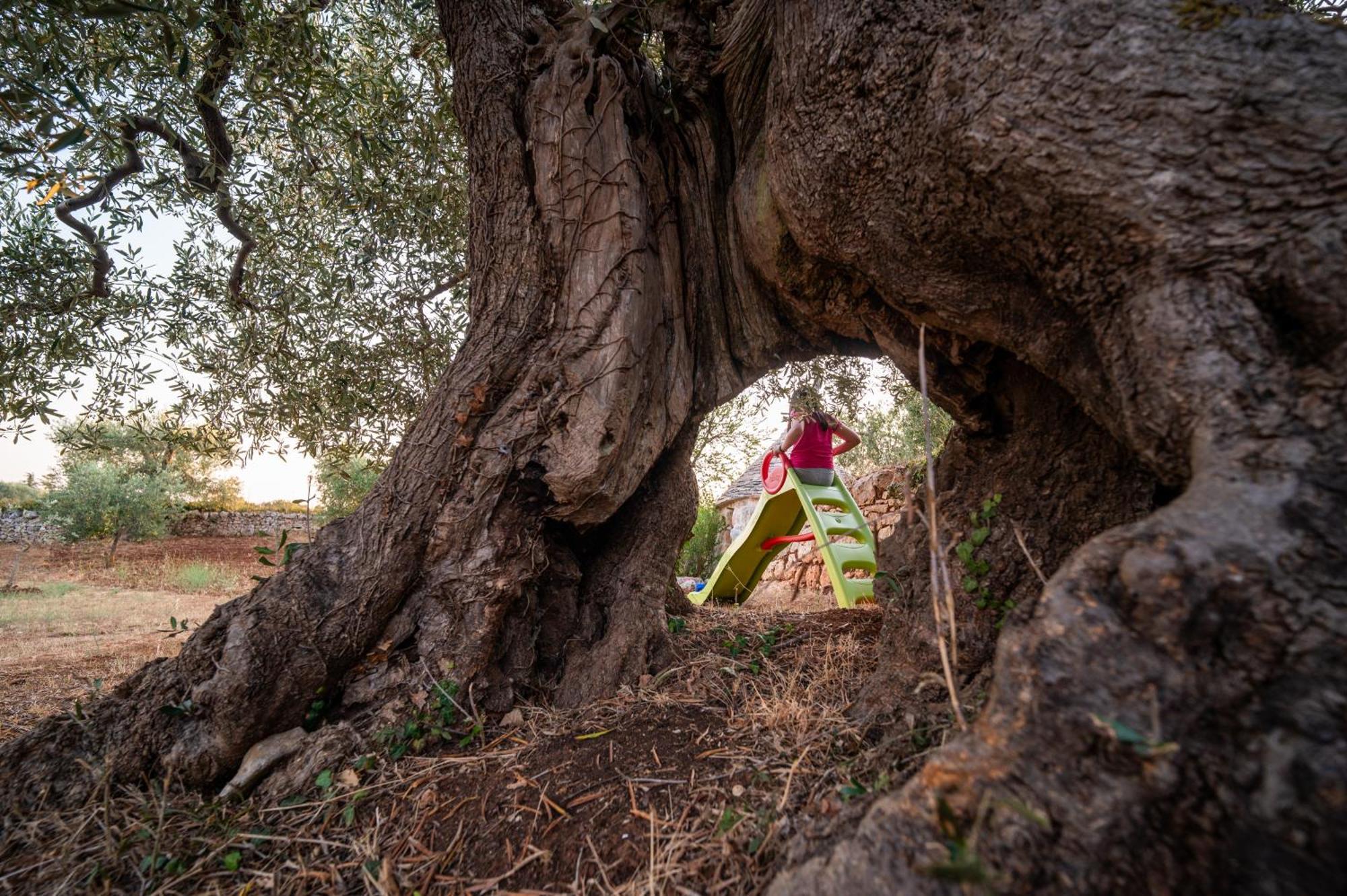 Holiday home Il Trullo Della Rondinina